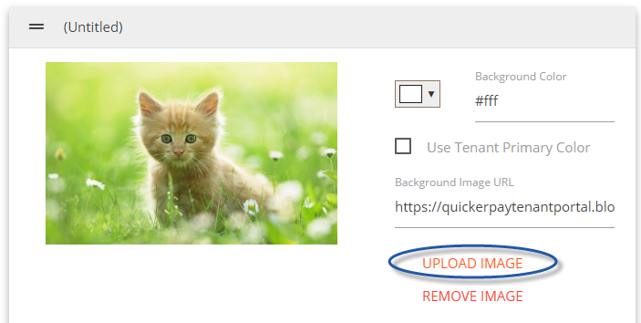 Uploaded Image example